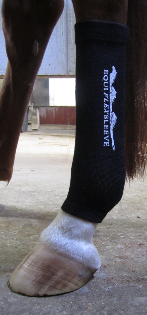 Equiflexsleeve – The official site of the Equiflexsleeve for horses
